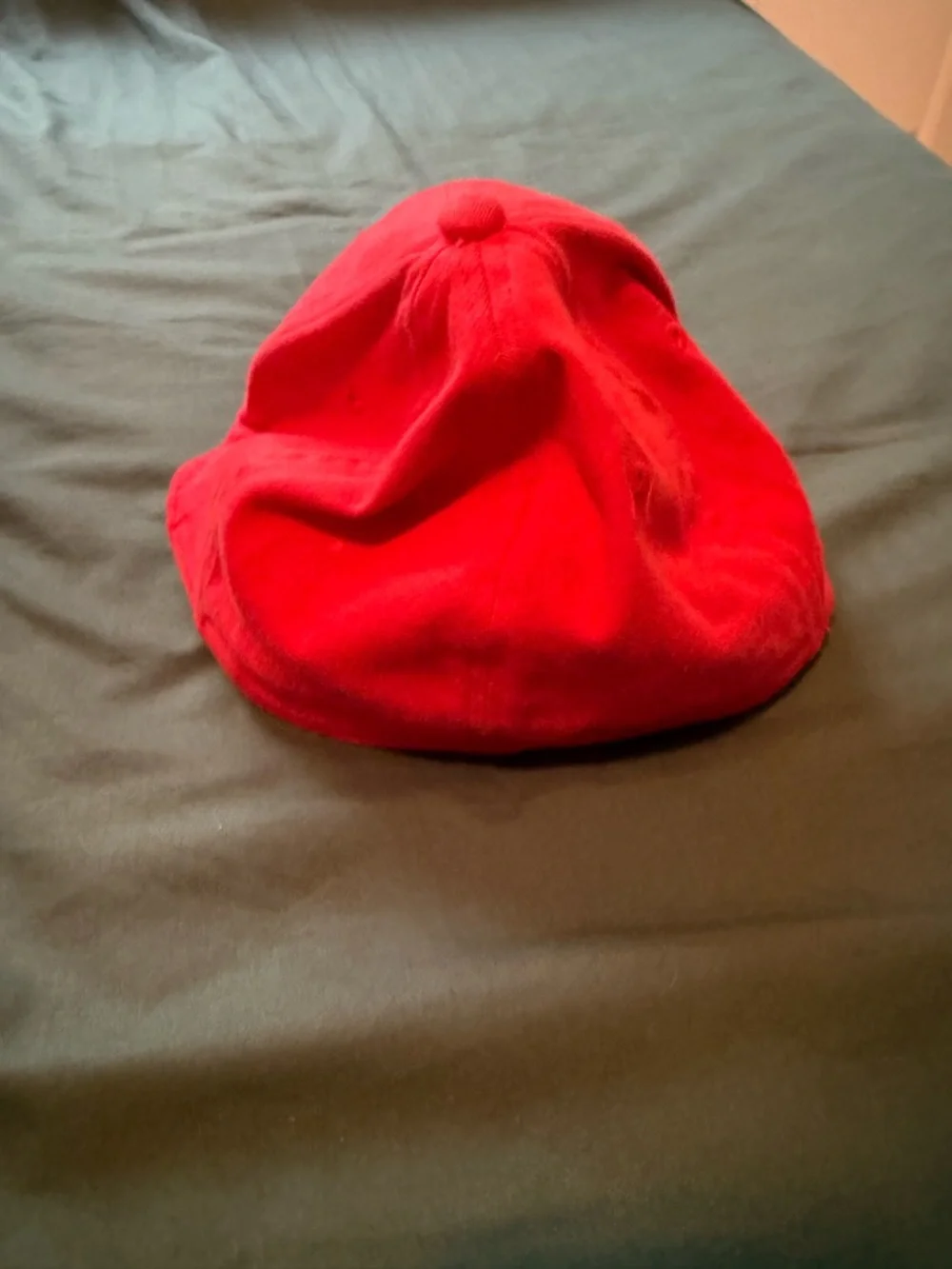 IceDogs Red Logo Baseball Cap - Picture 3 of 4